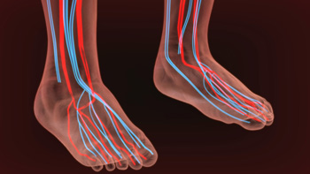 Diabetes and Poor Circulation in the Feet